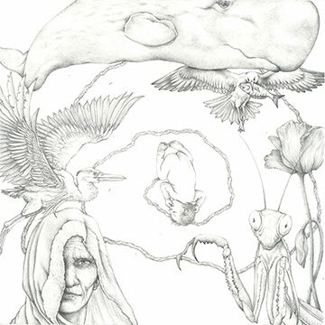 Metamorfosi, illustrazione di Anna Mancini per Cose Belle Contest d'illustrazione 2020