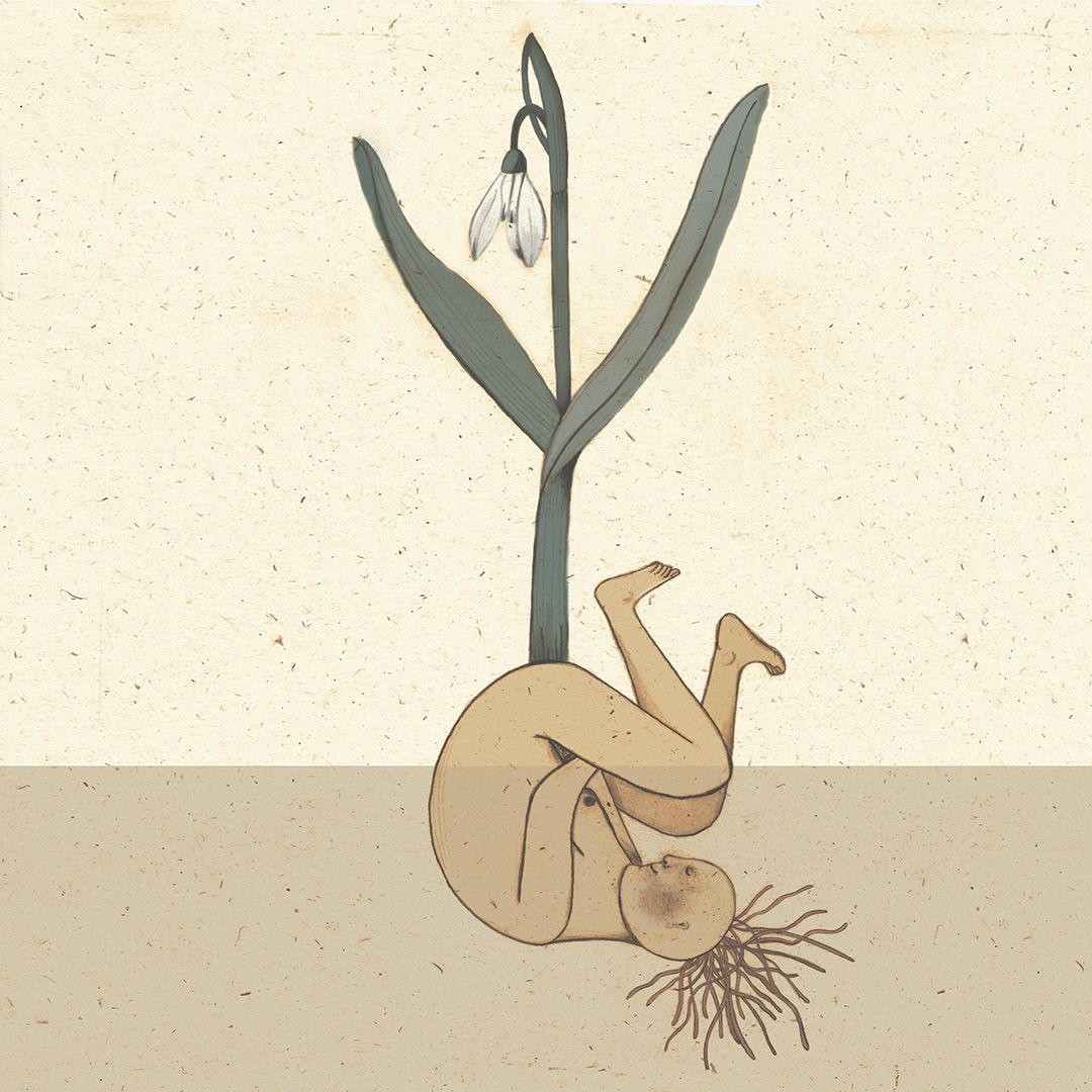 Rinascere, illustrazione di Jessica Bocca per Cose Belle Festival 2019