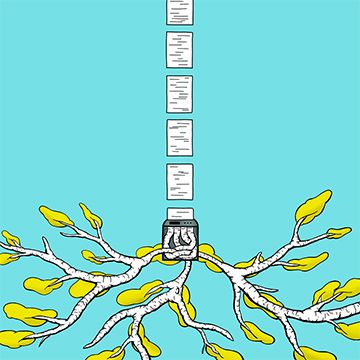 Rewind—how to restore a tree, illustrazione di Martino Natuzzi per Cose Belle Contest d'illustrazione 2020