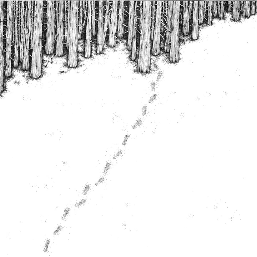 Orme, illustrazione di Anna Maria Benotto per Cose Belle Contest d'illustrazione 2021