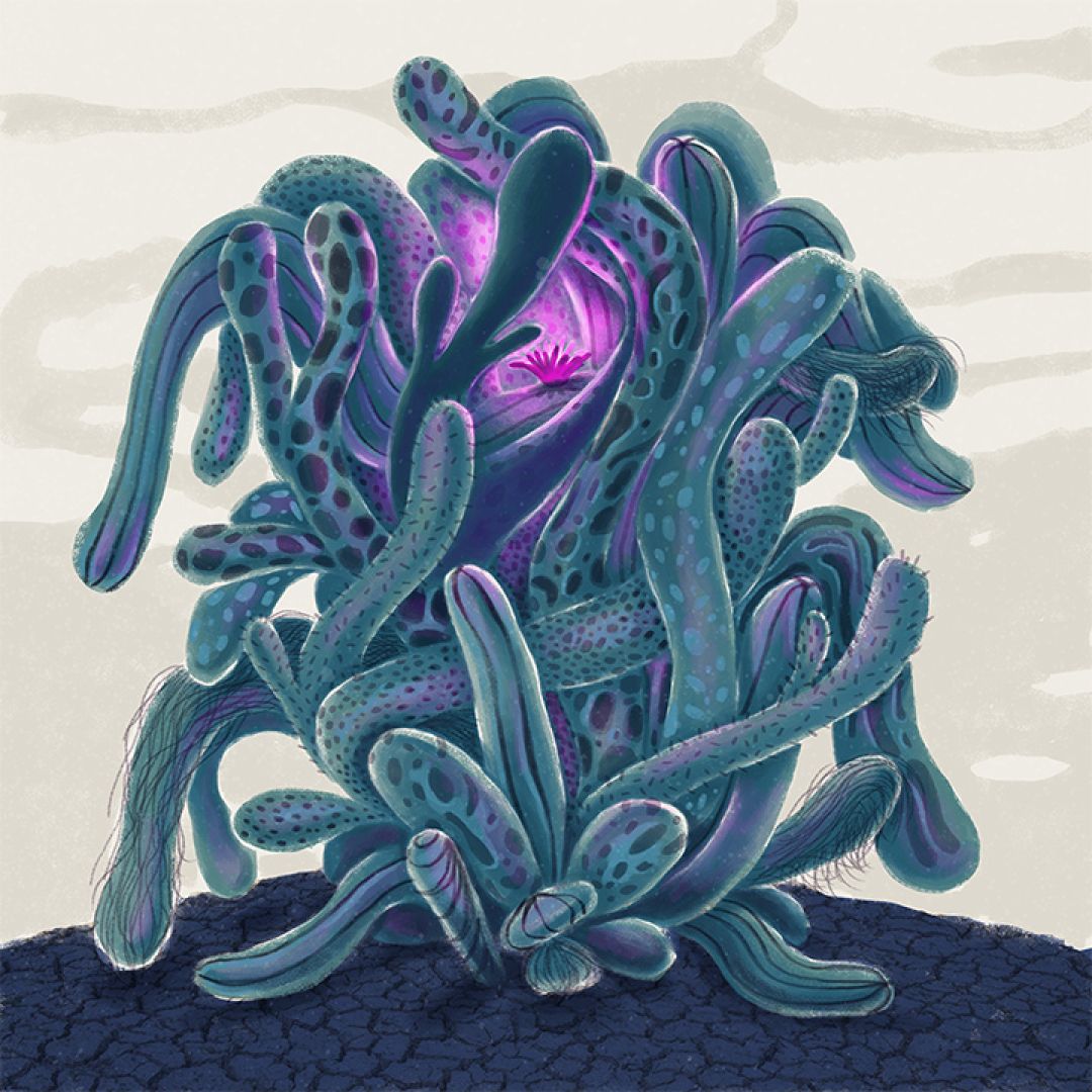Un fiore nuovo, illustrazione di Carola Pignati per Cose Belle Contest d'illustrazione 2020
