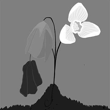 Rigenerazione di una Speranza, illustrazione di Roberto Megna per Cose Belle Contest d'illustrazione 2020