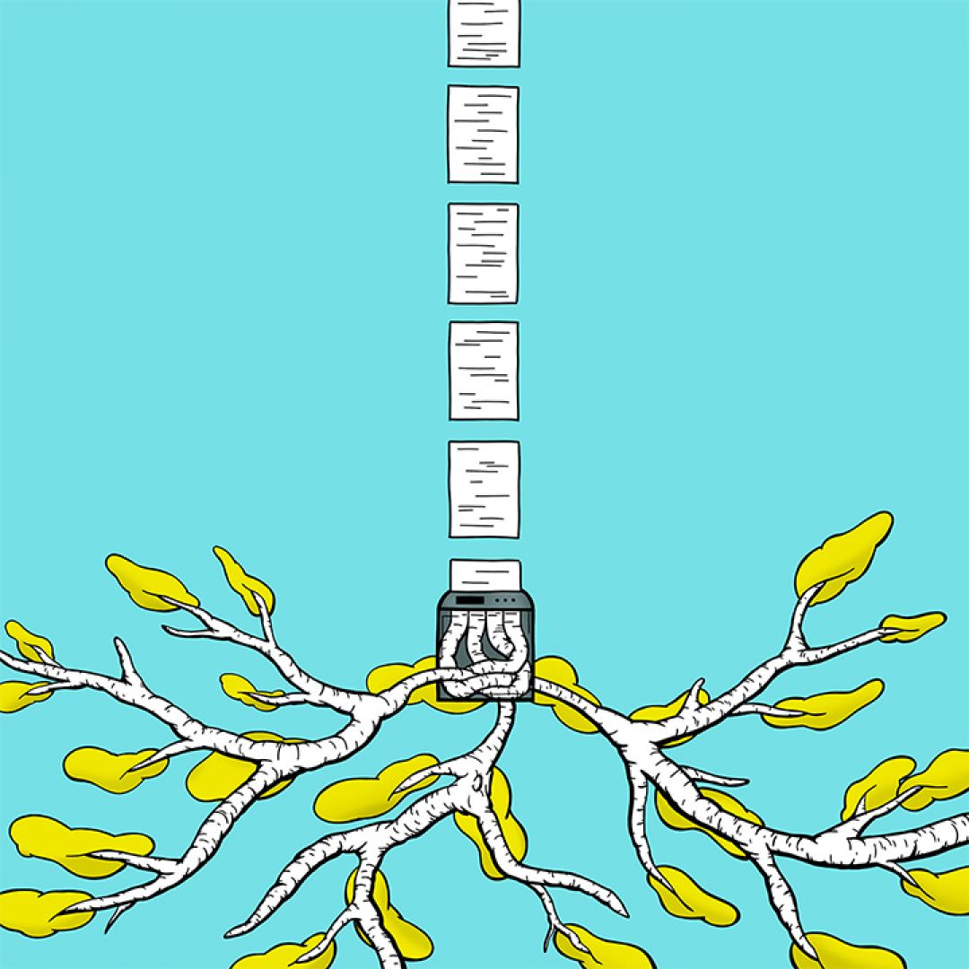 Rewind—how to restore a tree, illustrazione di Martino Natuzzi per Cose Belle Contest d'illustrazione 2020