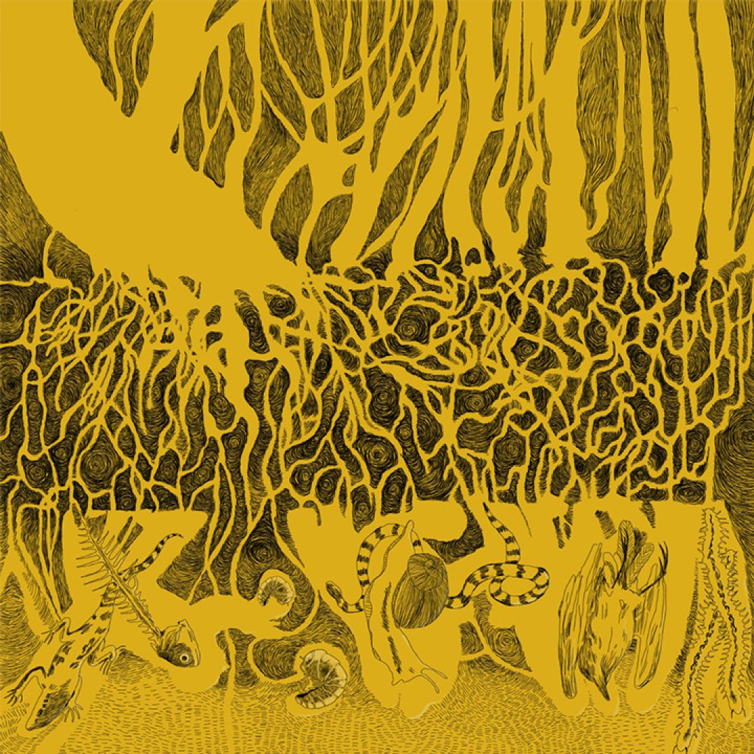 Wood Wide Web, illustrazione di Claudia Pagliarulo per Cose Belle Contest d'illustrazione 2021