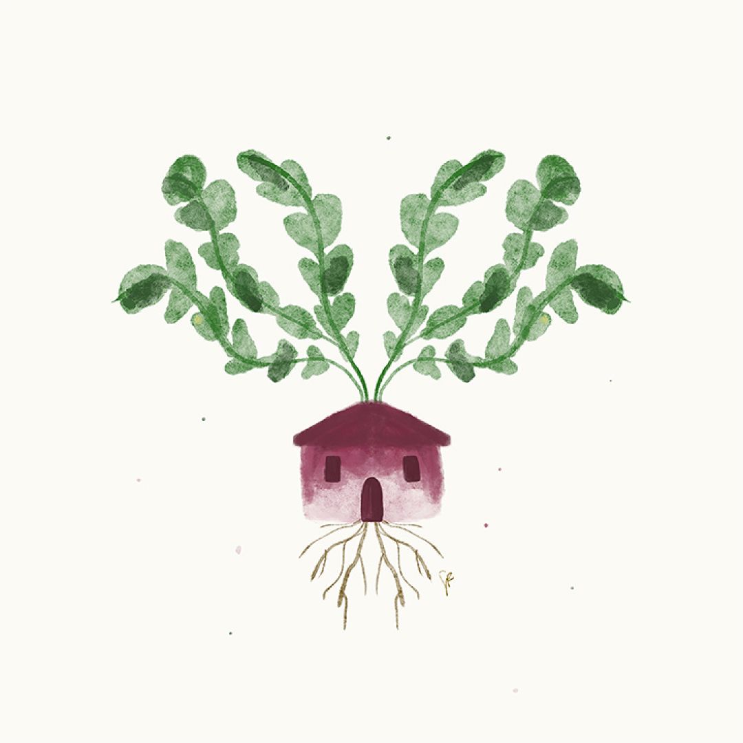Radici, illustrazione di Sofia Fiorentini per Cose Belle Contest d'illustrazione 2020